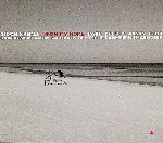 時機成熟