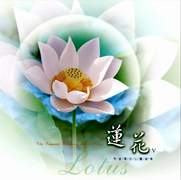 芳香療法心靈音樂系列-蓮 花