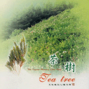 芳香療法心靈音樂系列-茶 樹