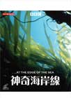 BBC:神奇海岸線