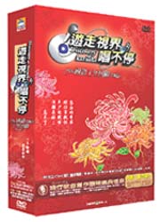 遊走視界唱不停國語十年回顧精緻套裝