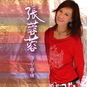 傷心戀情-(VCD)