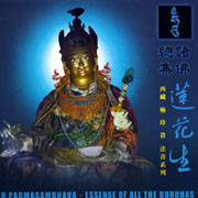諸佛總集-蓮花生(西藏法音系列)