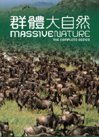 群體大自然