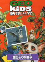翱翔天空的鳥兒