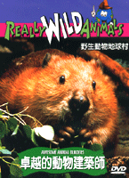 野生動物地球村-卓越的動物建築師
