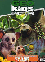 動物世界-來玩捉迷藏