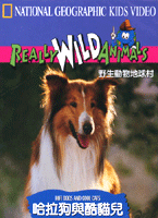 野生動物地球村-哈拉狗與酷貓兒