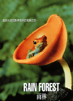 雨林