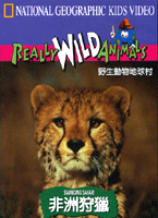 野生動物地球村-非洲狩獵