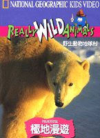 野生動物地球村-極地漫遊