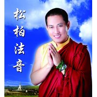 松柏法音
