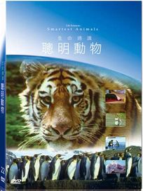 地球脈動22-聰明動物