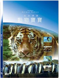 地球脈動12-動物寶寶