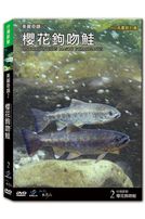 台灣脈動 2-櫻花鉤吻鮭-上