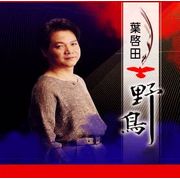 野鳥