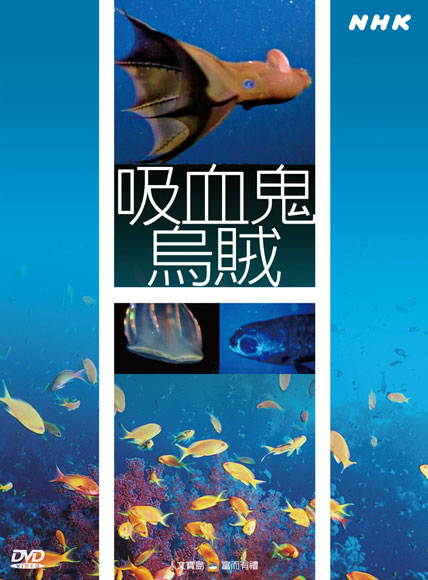 NHK 54-吸血鬼烏賊