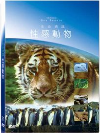 地球脈動21-性感動物