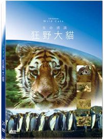 地球脈動24-狂野大貓