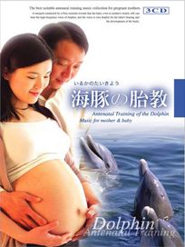 海豚之胎教
