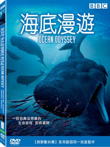 海底漫遊