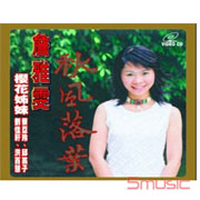 秋風落葉VCD