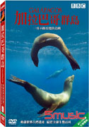 加拉巴哥群島