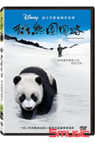 貓熊團圓路