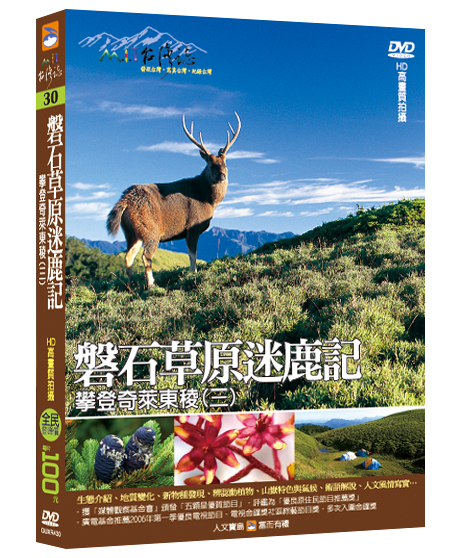 MIT台灣誌 30 磐石草原迷鹿記 攀登奇萊東稜(三)