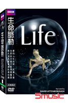 生命脈動