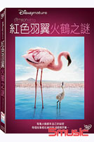紅色羽翼:火鶴之謎