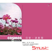 日安波斯菊