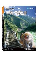 台灣脈動 73-展讀大坑天書