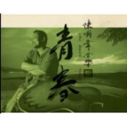 青春
