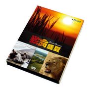 致命盛夏	