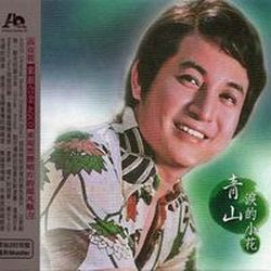淚的小花AQCD