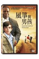 風箏與男孩