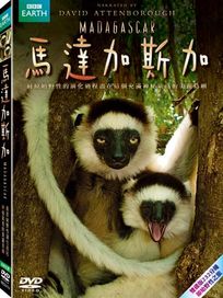 馬達加斯加