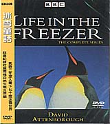 冰雪童話