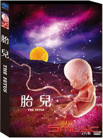 胎兒 (韓國紀錄片)