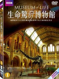 生命驚奇博物館 1