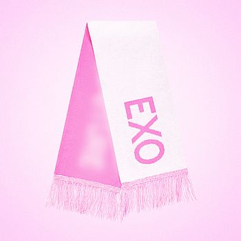 [SMTOWN LIVE 2025 TOUR]-手幅(韓國進口)