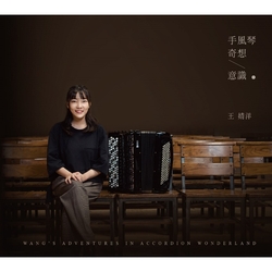 手風琴奇想意識