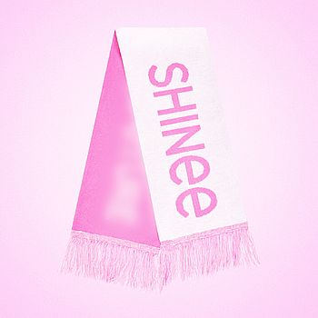 [SMTOWN LIVE 2025 TOUR]-手幅(韓國進口)