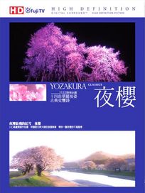 HD映像文學系列-夜櫻