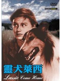 靈犬萊西