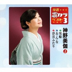 男船