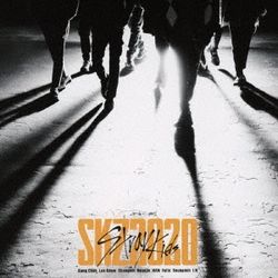 SKZ2020(日本進口期間生產限定盤)