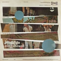 JUNGGIGO SINGS BRAZIL(韓國進口版)