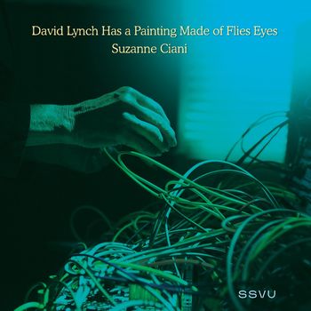 David Lynch Has a Painting Made of Flies Eyes / Su